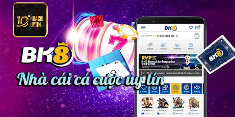 Bk8